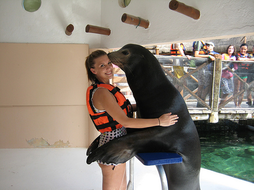 Jackie gets a hug at ABC Dolphin Trainer Academy