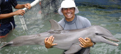 Raul with dolphn calf at Dolphin Discovery Tortola
