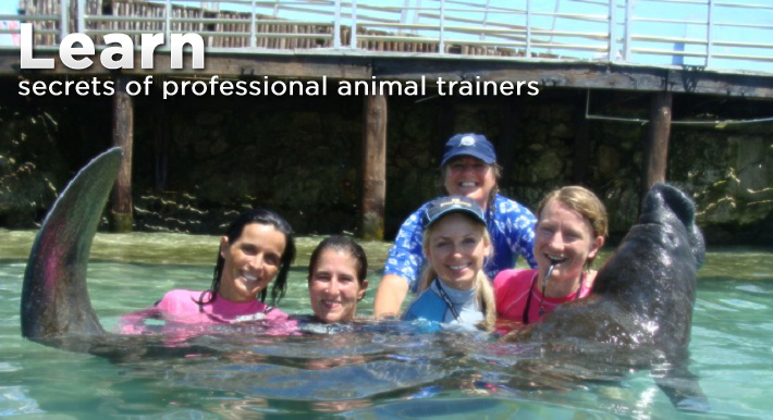Learn secrets of professional animal trainers