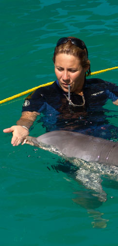 A future dolphin trainer interacts with a bottlenose dolphin at ABC Animal Training